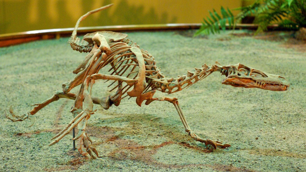 Jak wyglądają kości dinozaurów
