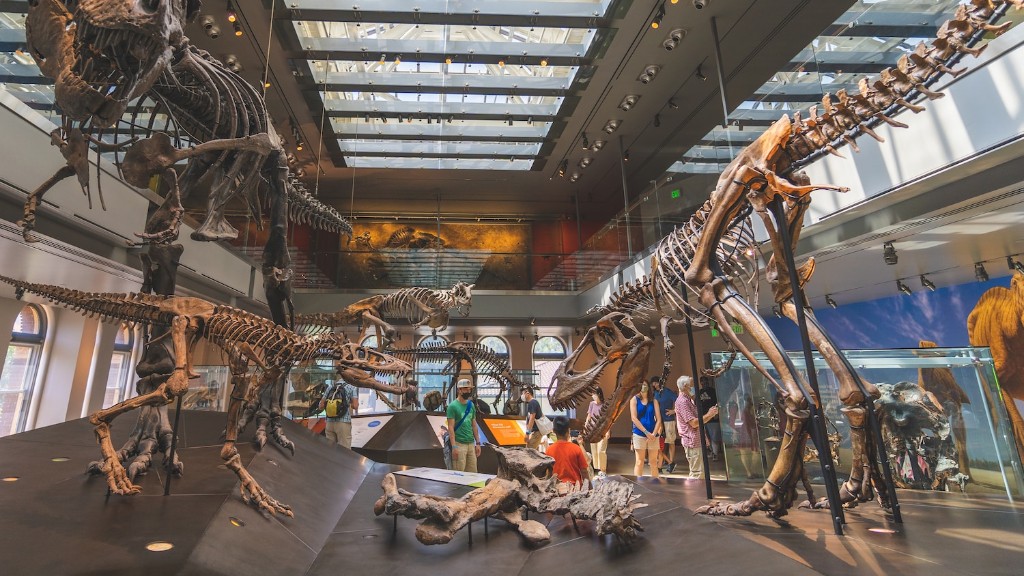 Gdzie ludzie mogą znaleźć kości dinozaurów